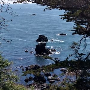 Meet your Posher, Kareen